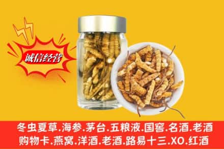 成都市简阳回收散虫草