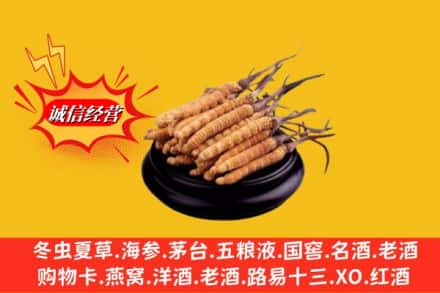 成都市简阳求购回收虫草多少钱每克